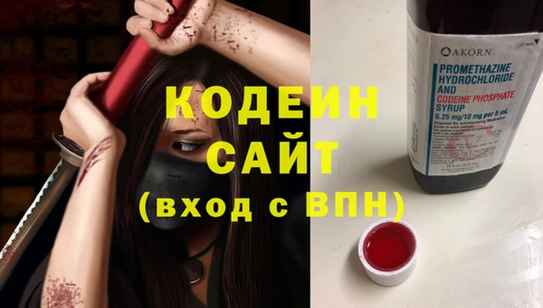 индика Волосово