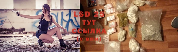 индика Волосово