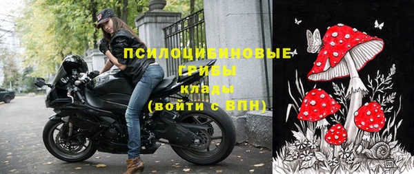 МДПВ Волоколамск