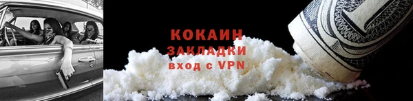 индика Волосово