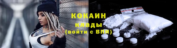 ГАЛЛЮЦИНОГЕННЫЕ ГРИБЫ Вяземский
