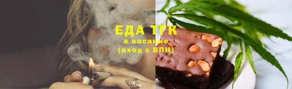 индика Волосово