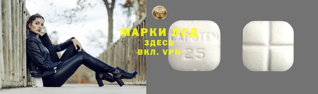 индика Волосово