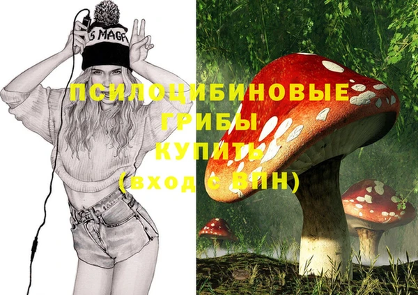 ешки Володарск