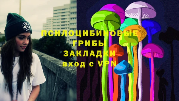 ешки Володарск