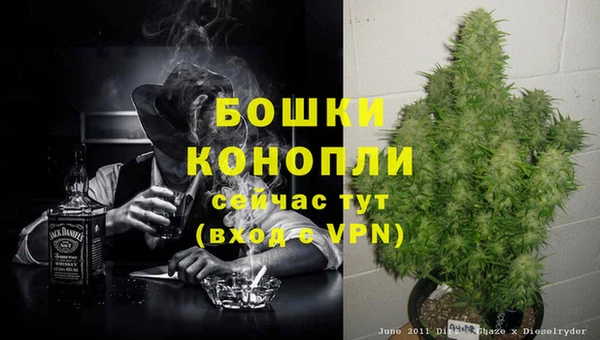 индика Волосово