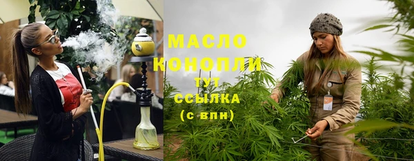 индика Волосово