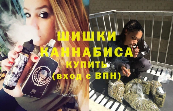 меф Дмитриев
