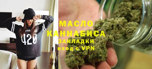 индика Волосово