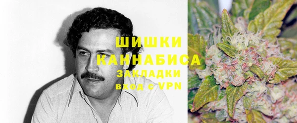 индика Волосово