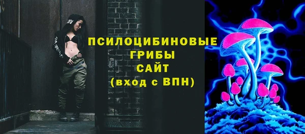 индика Волосово