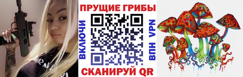 купить закладку  Ершов  KRAKEN ССЫЛКА  Псилоцибиновые грибы мухоморы 